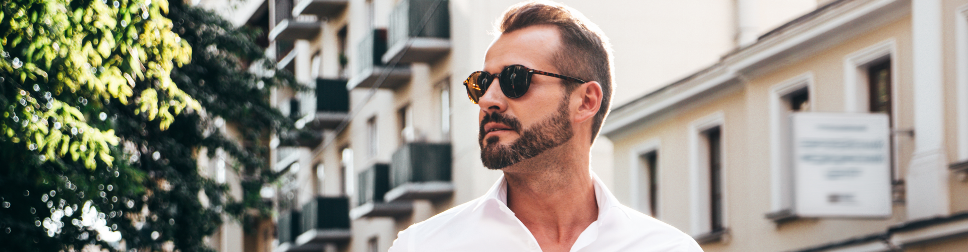 transition header image